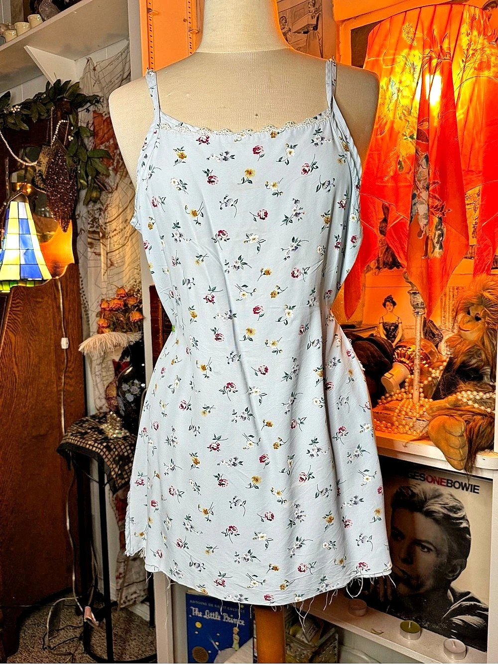 Floral Mini Dress in Blue & White